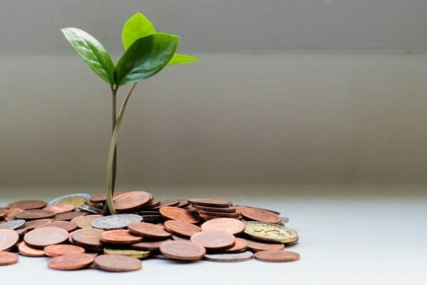 4 Places to Invest Money