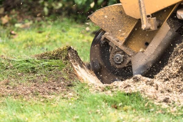 Stump Grinding