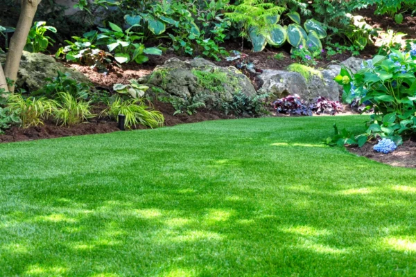 Greener Lawns in Atlanta